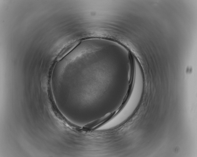 X0000092000434200709131517