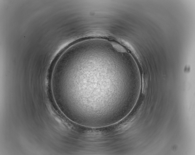 X0000092000435200709131517