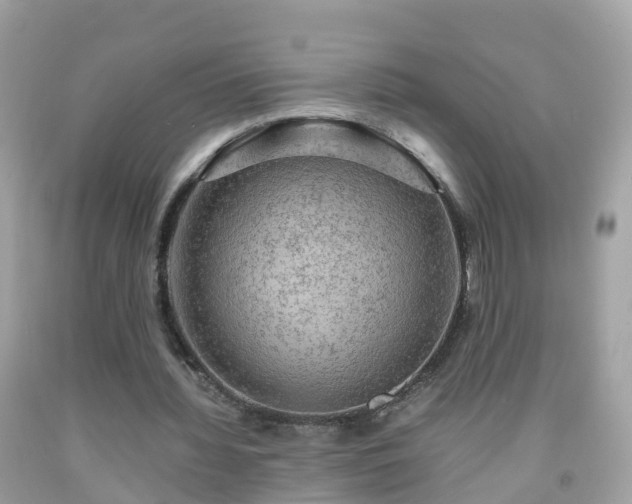 X0000092000436200709131517