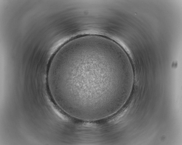 X0000092000437200709131517