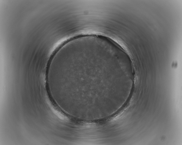 X0000092000438200709131517