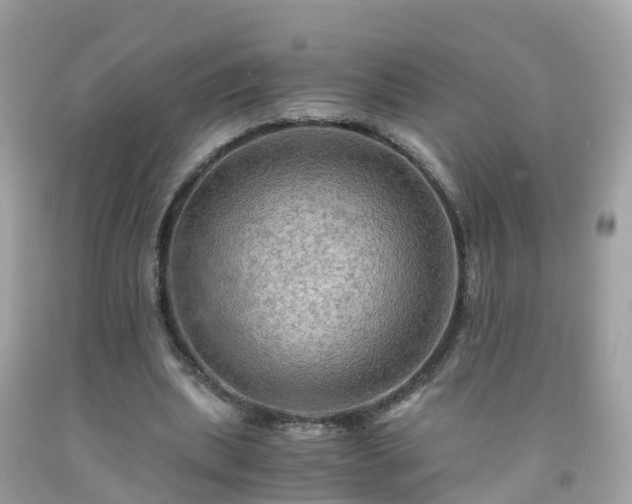 X0000092000439200709131517