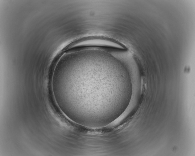 X0000092000440200709131517