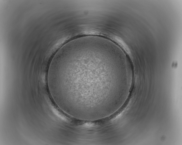 X0000092000441200709131517