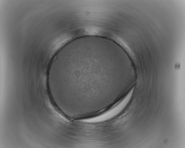 X0000092000442200709131517