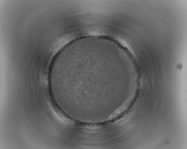 X0000092000443200709131517