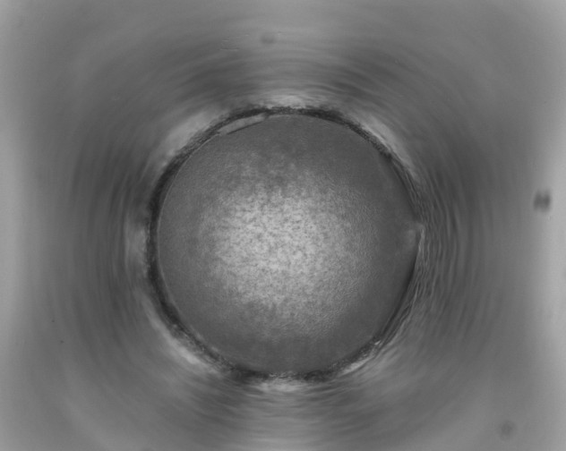 X0000092000444200709131517