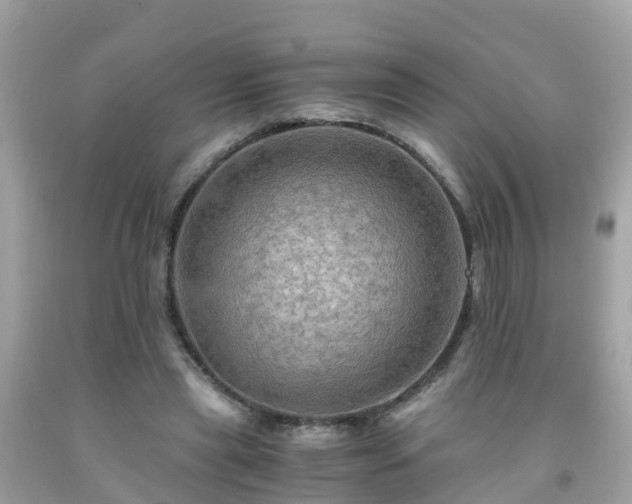 X0000092000445200709131517