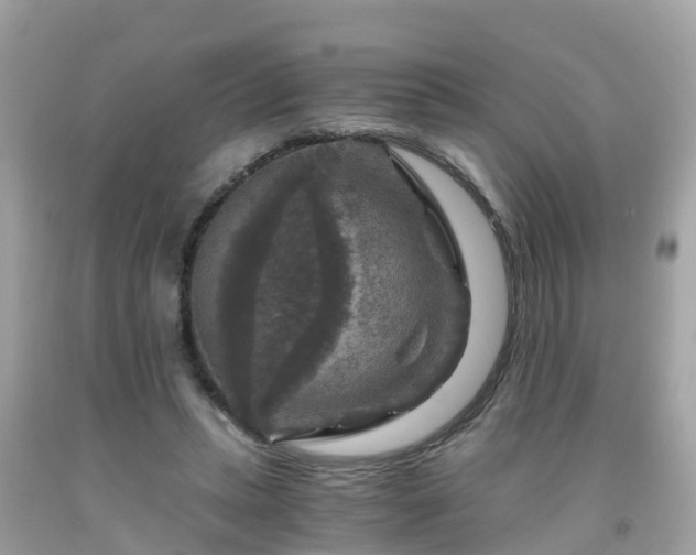 X0000092000447200709131517