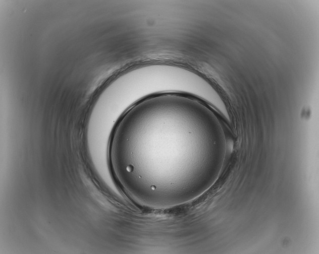 X0000092000448200709131517