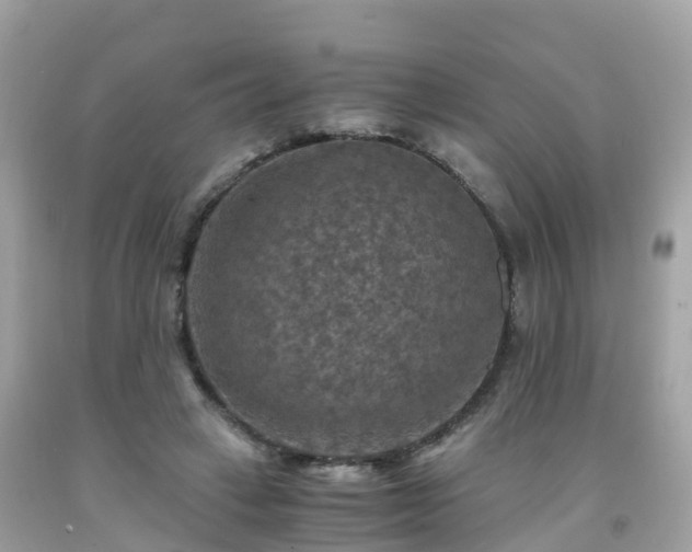 X0000092000449200709131517