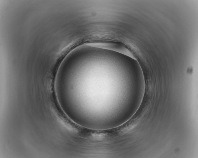 X0000092000450200709131517