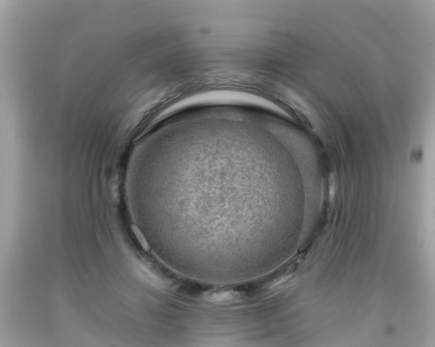 X0000092000452200709131518