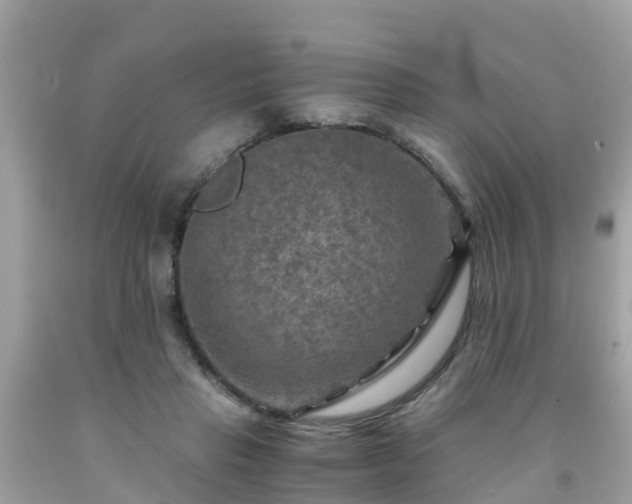 X0000092000453200709131518