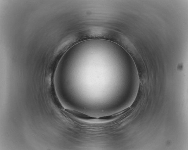 X0000092000454200709131518