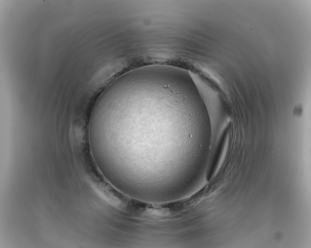 X0000092000455200709131518