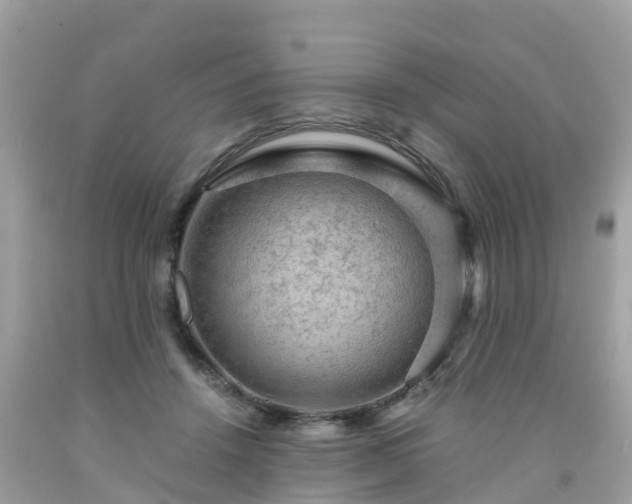 X0000092000456200709131518