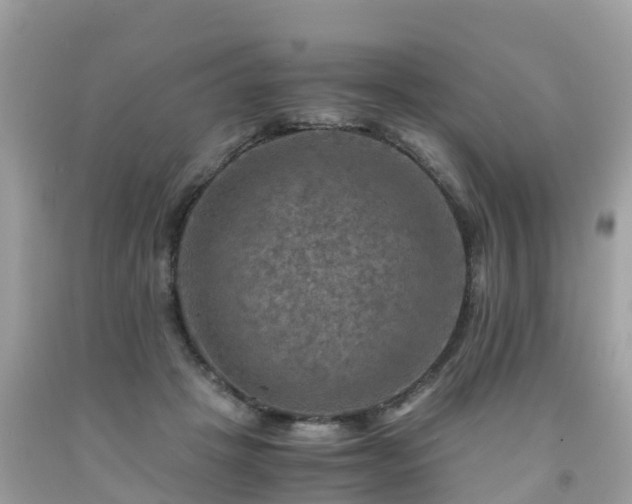 X0000092000457200709131518