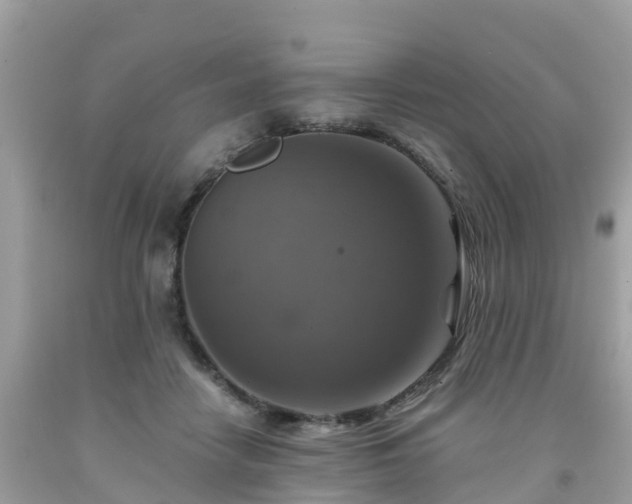 X0000092000458200709131518