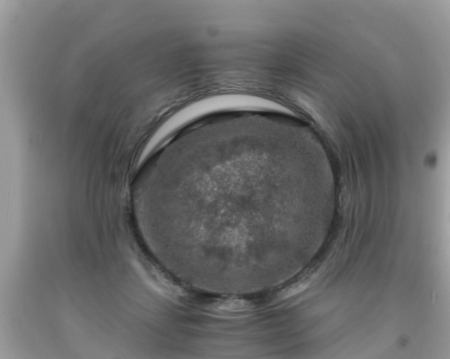 X0000092000459200709131518