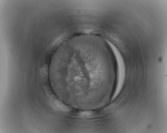 X0000092000461200709131518