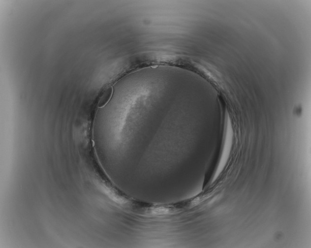 X0000092000462200709131518