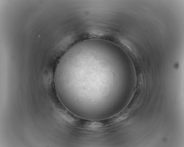 X0000092000463200709131518