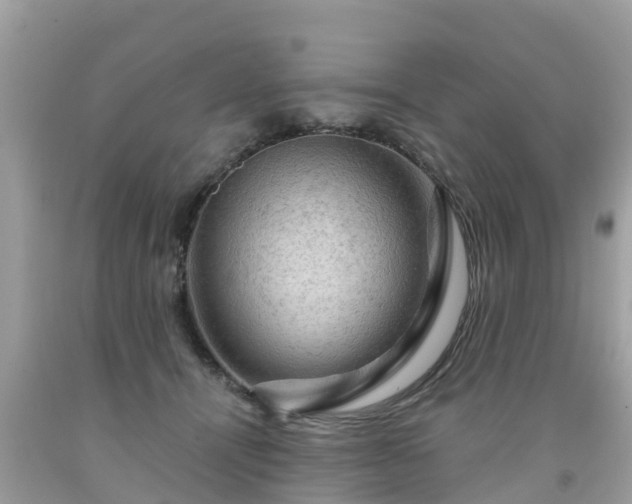 X0000092000464200709131518