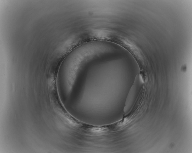 X0000092000465200709131518