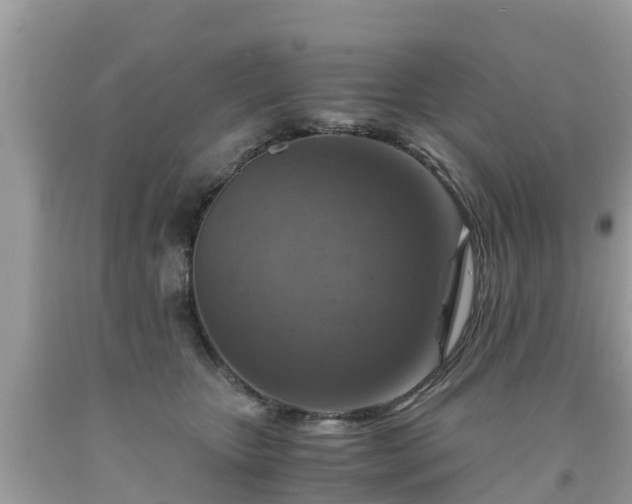 X0000092000467200709131518