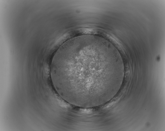 X0000092000469200709131518