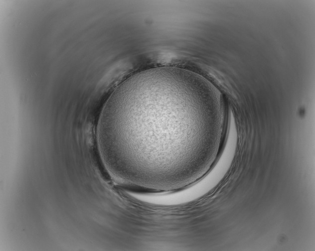 X0000092000470200709131518