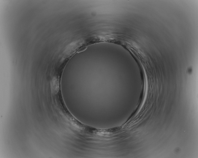 X0000092000471200709131518