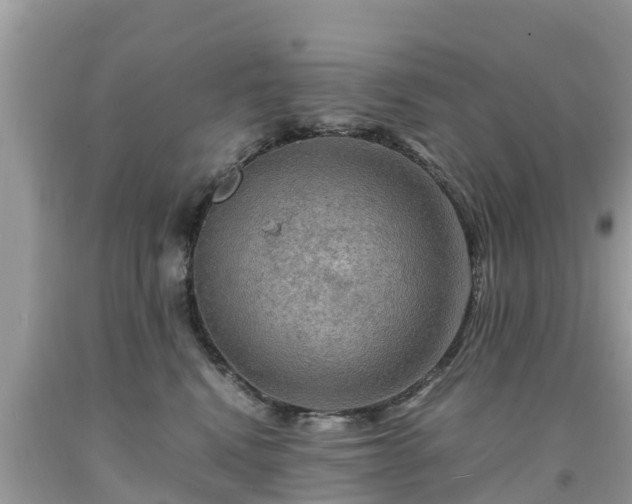 X0000092000472200709131518