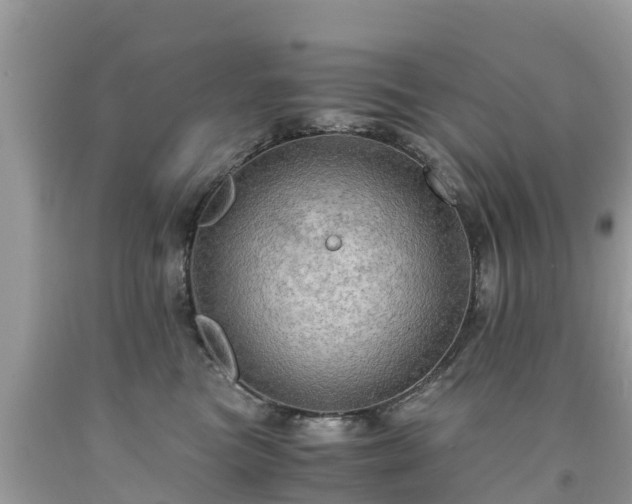 X0000092000473200709131518