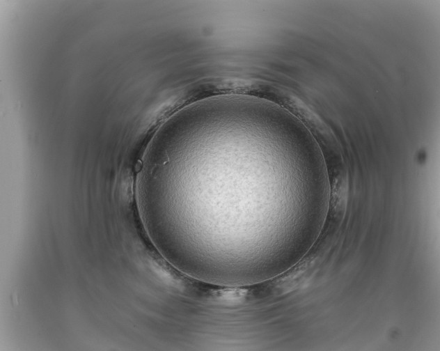 X0000092000474200709131518