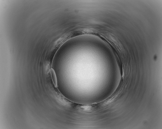 X0000092000478200709131518