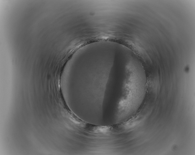 X0000092000479200709131518