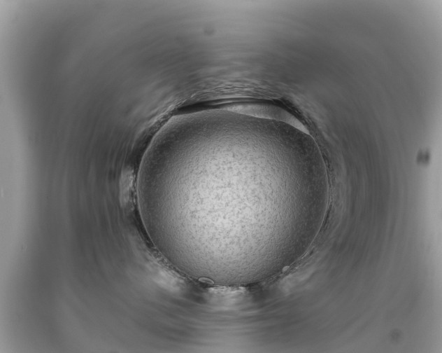 X0000092000480200709131518