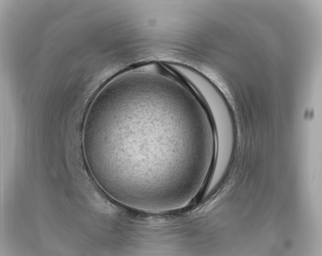 X0000092000481200709131517