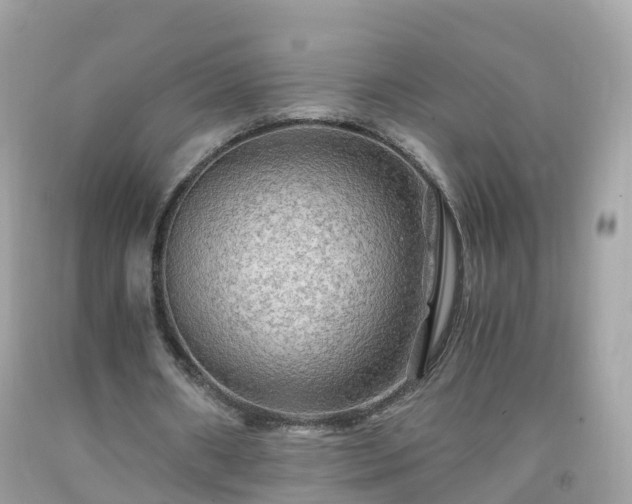 X0000092000482200709131517