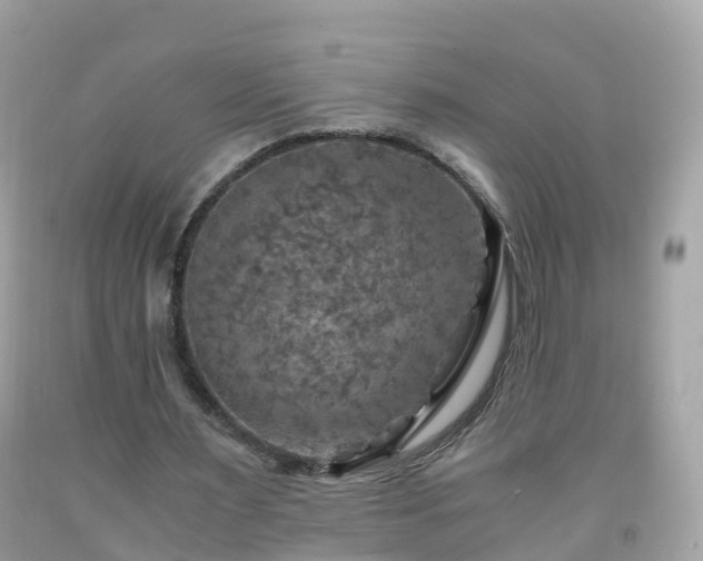 X0000092000483200709131517