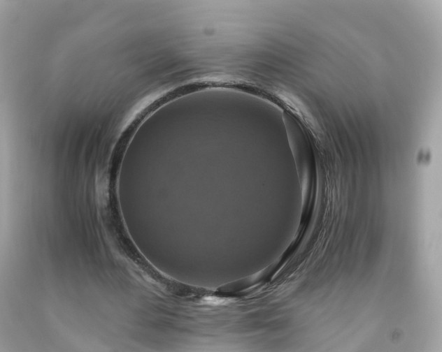 X0000092000484200709131517