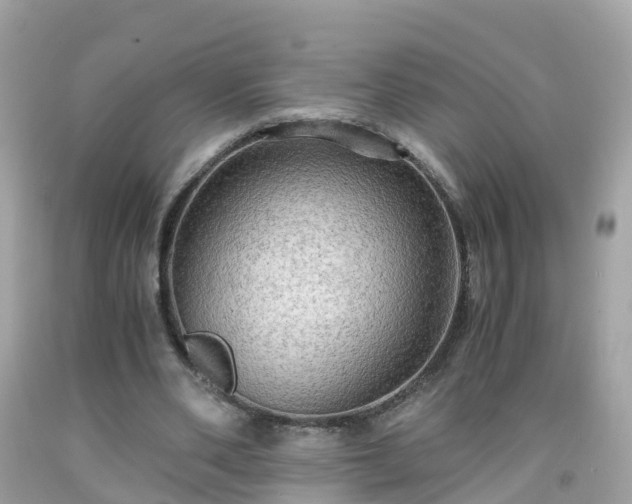 X0000092000486200709131517