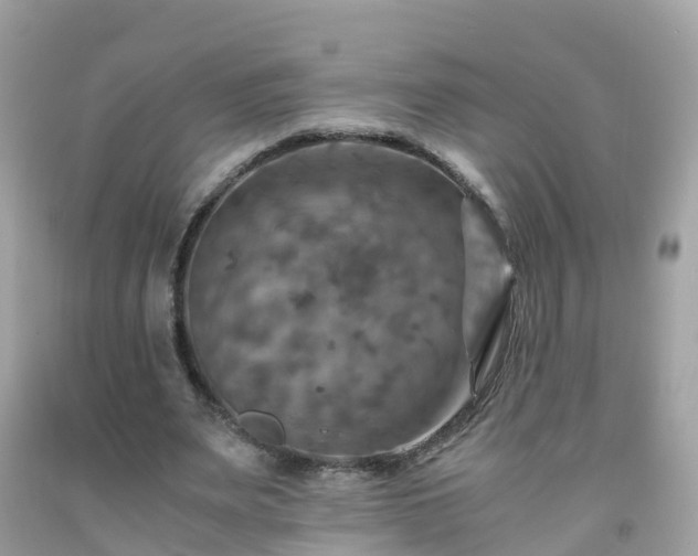 X0000092000487200709131517