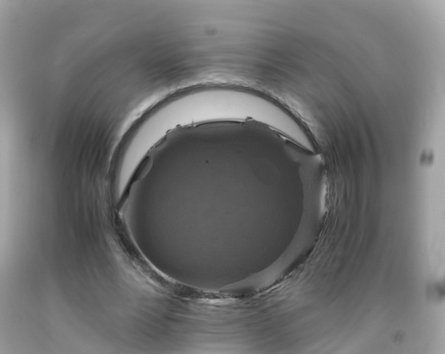 X0000092000488200709131517