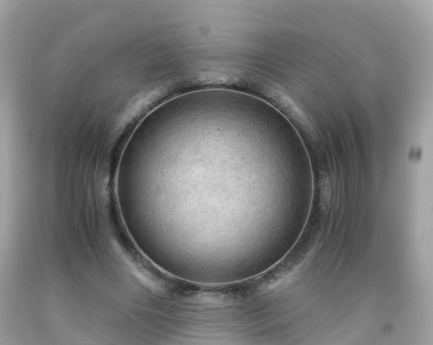 X0000092000490200709131517