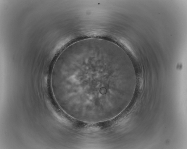 X0000092000491200709131517