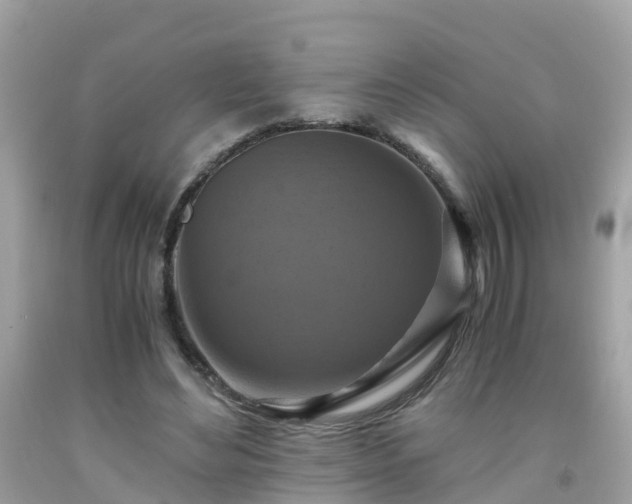 X0000092000492200709131517