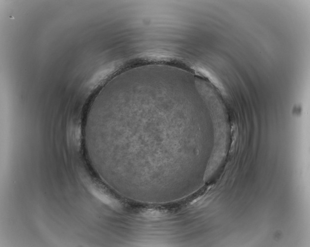 X0000092000494200709131517